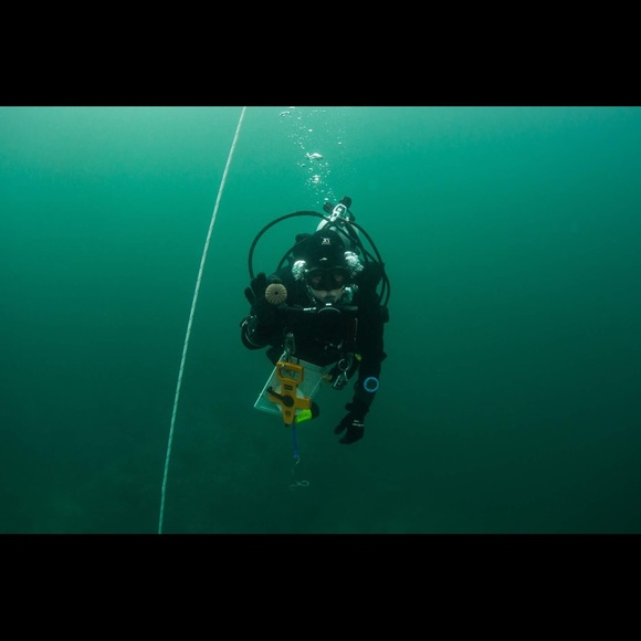 Meet your Posher, Torrey - Picture 3 of 14